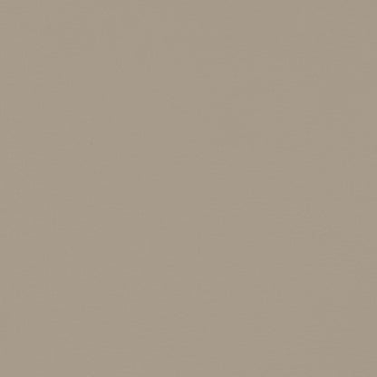 Caballo Polypropylene Dining Side Chair Tan (Set of 2)