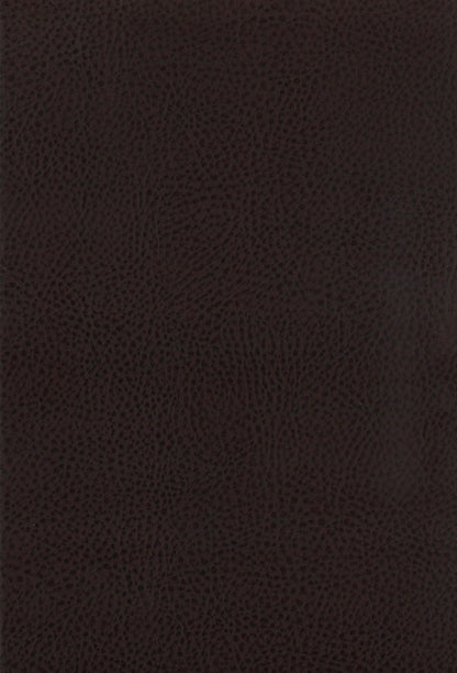 Dewey Upholstered Counter Chair Walnut (Set of 2)