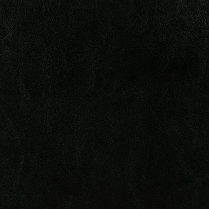 Dorian Faux Leather Upholstered Queen Panel Bed Black