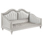 Evangeline Upholstered Twin Daybed Silver Oak