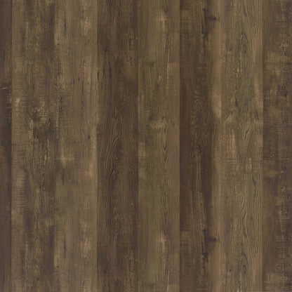 Myles 2-door Engineered Wood 60-inch TV Stand Rustic Oak