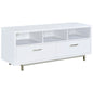 Casey 2-drawer Engineered Wood 60-inch TV Stand White