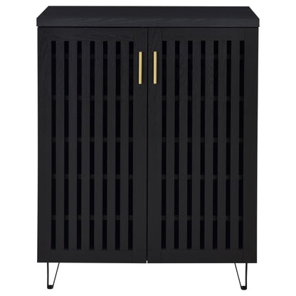 Brixton 2-door Entryway Shoe Storage Cabinets Black
