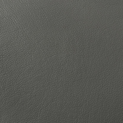 Buxton Top Grain Leather Upholstered Sofa Graphite