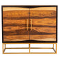 Zara 2-door 40-inch Wood Accent Storage Cabinet Black Walnut